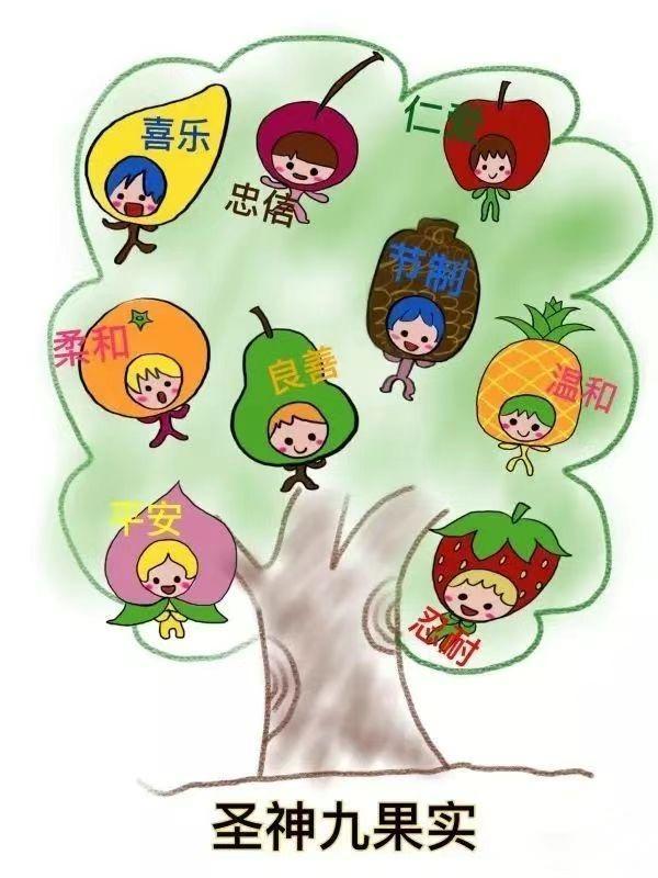 教宗关于圣神的要理讲授：福音是“喜讯”，宣讲时不可愁眉苦脸（11月27日）