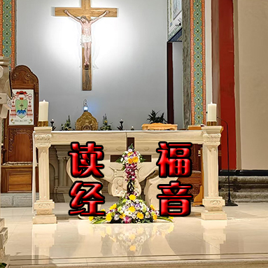 丙年常年期第三十主日 读经与福音