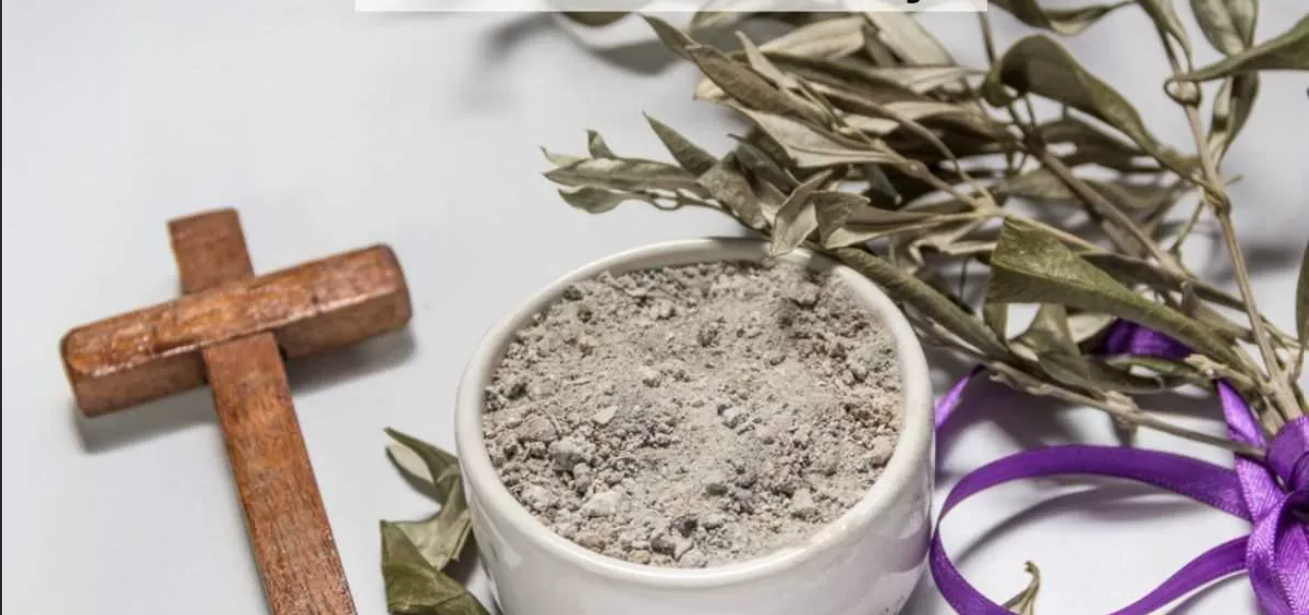 丙年常年期第八主日 堂区通知