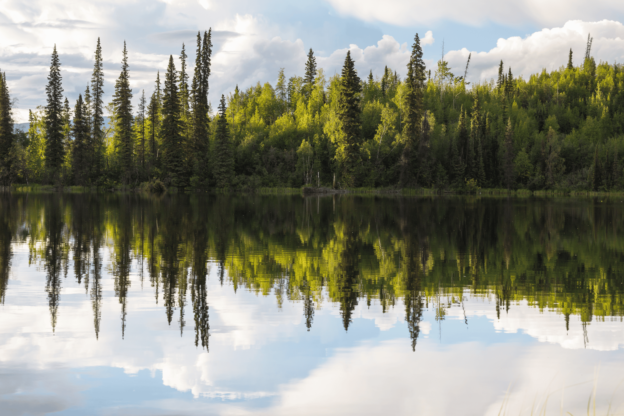 教宗要理讲授：梵二大公会议文件《教会》教义宪章——教会是和平与合一的先知性记号，为所有人敞开空间（3月11日）