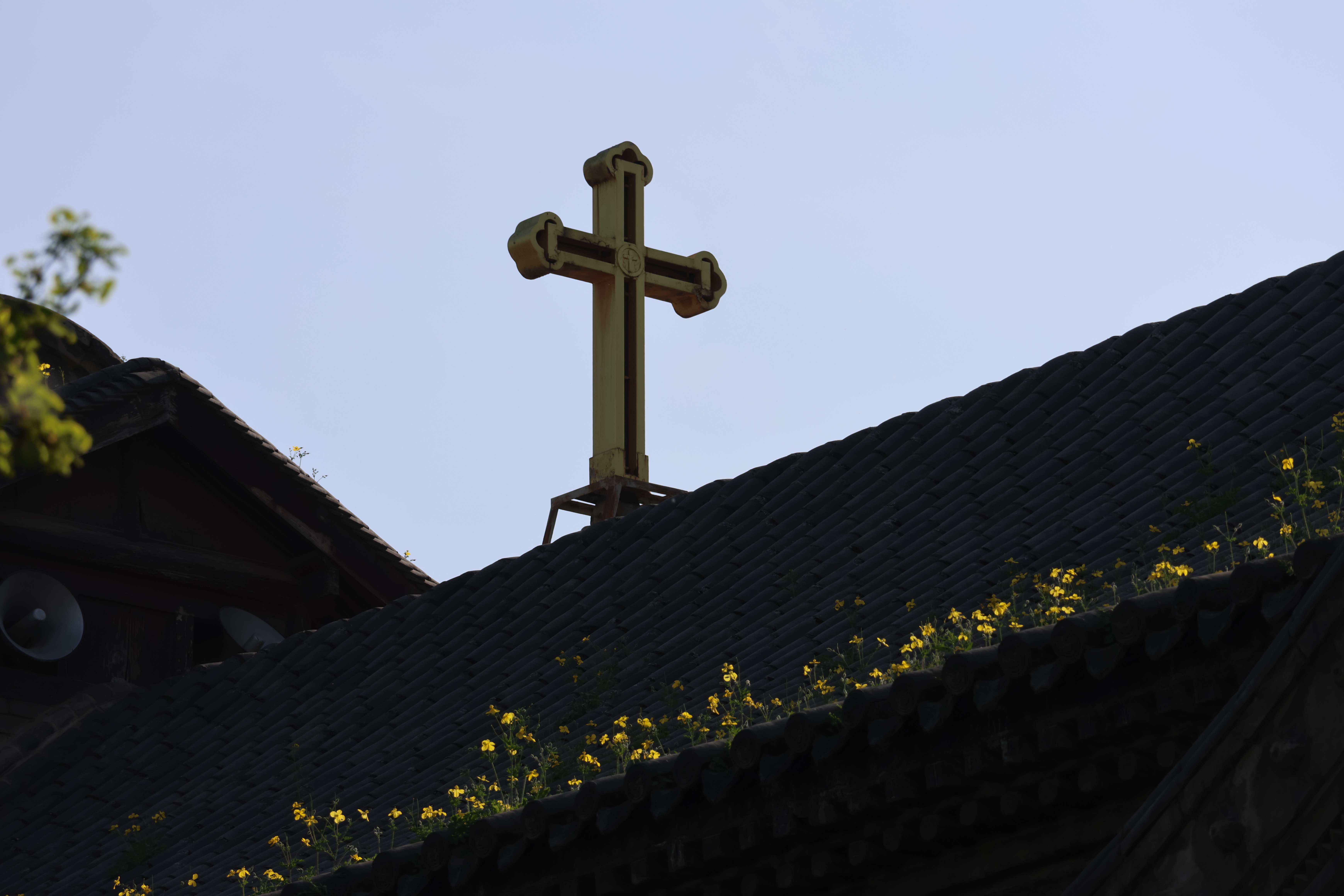 教宗要理讲授：梵二大公会议文件《教会》教义宪章——平信徒对于建立一个走出去的教会是不可或缺（4月1日）